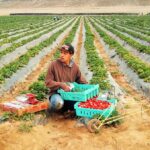 campaña de donación tatyi savi