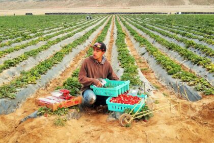 campaña de donación tatyi savi