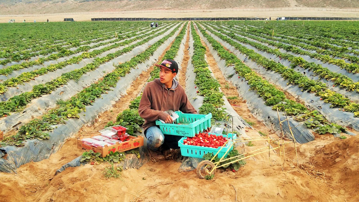 campaña de donación tatyi savi